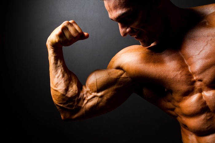 Synthol Muscle Enhancement