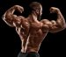 Top 10 Body Builders in the World