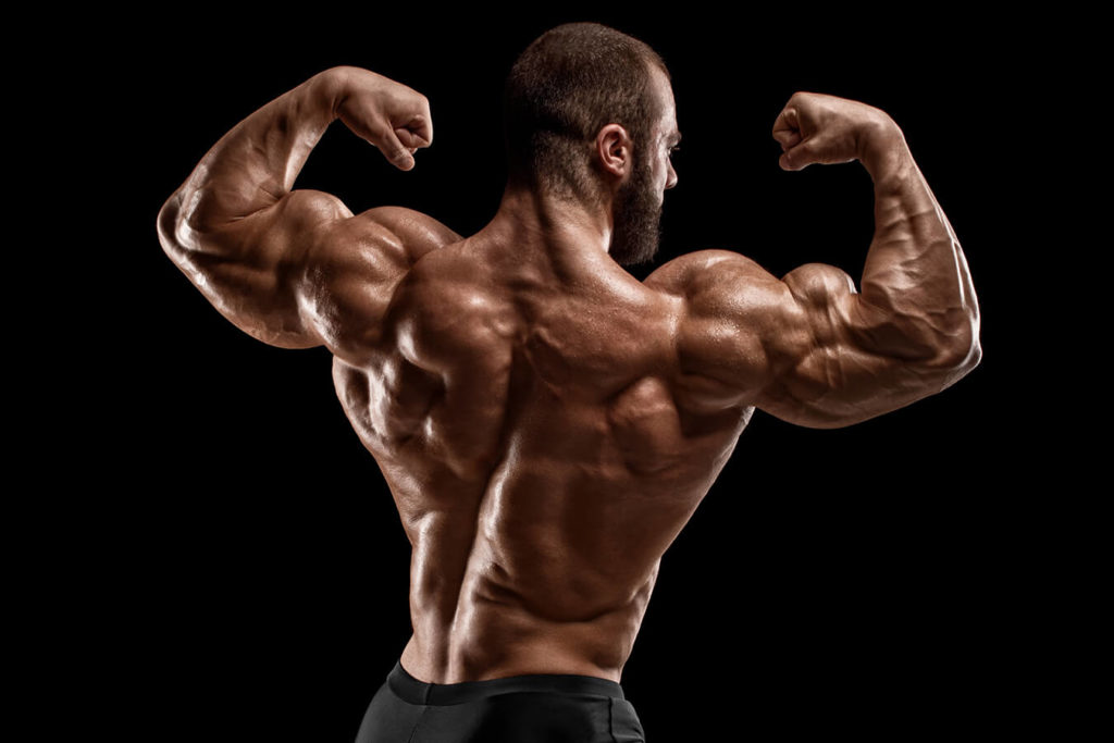 Top 10 Body Builders in the World
