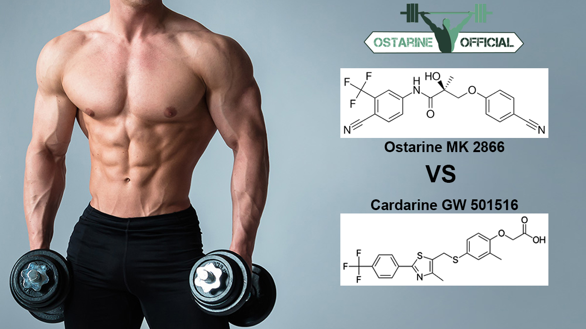 Ostarine vs. Cardarine